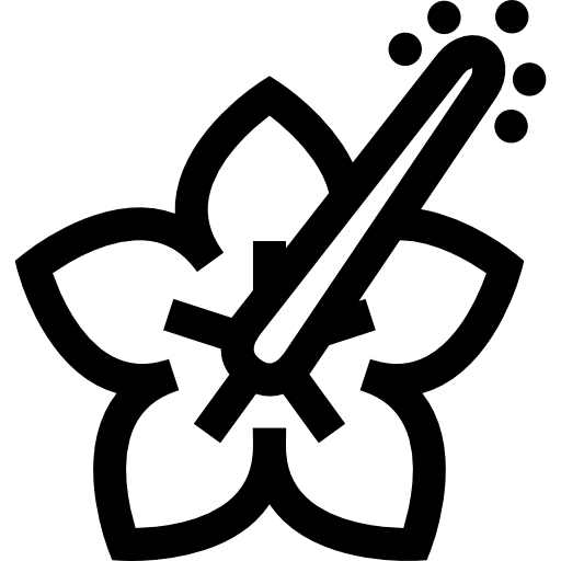 hibisco Basic Straight Lineal icono