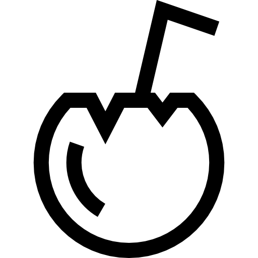 ココナッツ Basic Straight Lineal icon