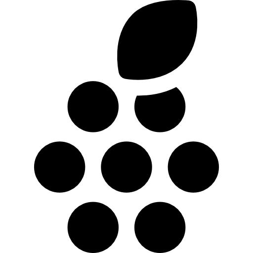 ラズベリー Basic Rounded Filled icon