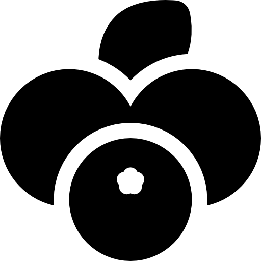 ブルーベリー Basic Rounded Filled icon