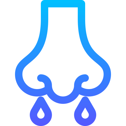 rhinite Basic Gradient Lineal color Icône