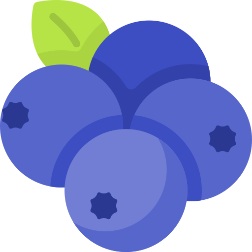Berries Special Flat icon