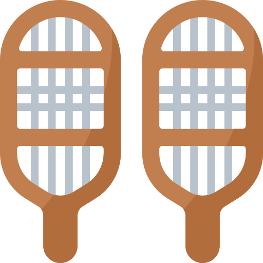 raquetas de nieve Special Flat icono