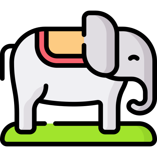 Elephant Special Lineal color icon