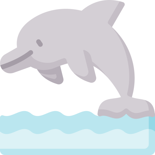 delfino Special Flat icona