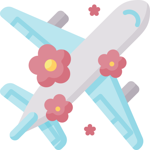 Airplane Special Flat icon