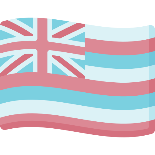 Hawaii Special Flat icon