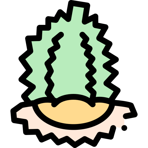 durian Detailed Rounded Lineal color icono