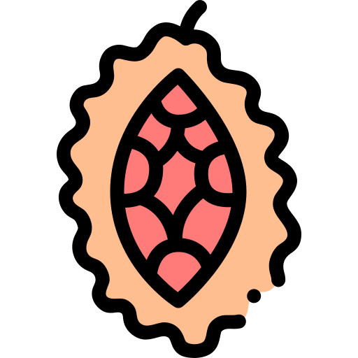 モモルディカ Detailed Rounded Lineal color icon