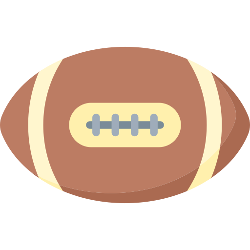 rugby Special Flat icon