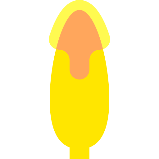 Corn Basic Sheer Flat icon
