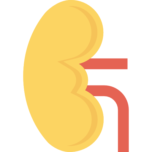 腎臓 Dinosoft Flat icon