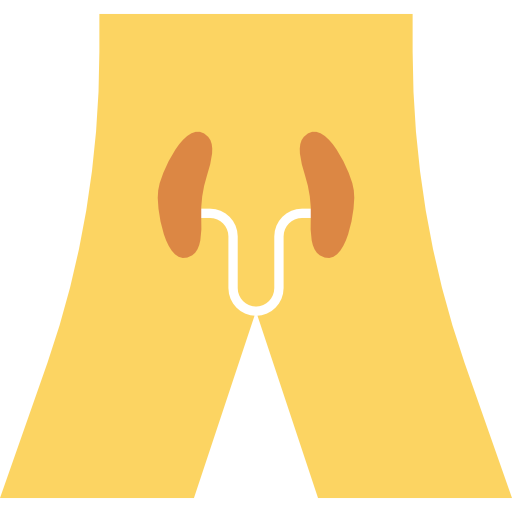 Kidneys Dinosoft Flat icon