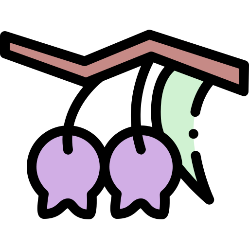 grumicama Detailed Rounded Lineal color icona