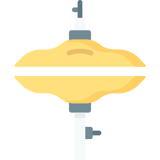 platillo Special Flat icono