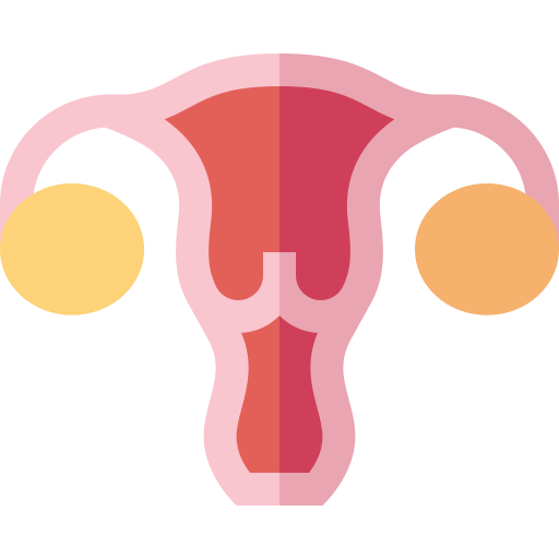 sistema reproductivo Basic Straight Flat icono