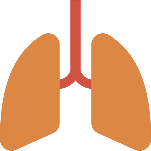 Lungs Dinosoft Flat icon