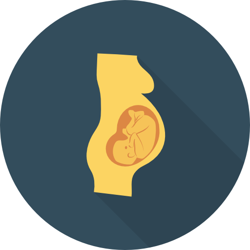 임신 Dinosoft Circular icon