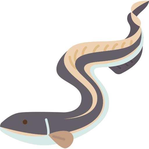 anguila Amethys Design Flat icono