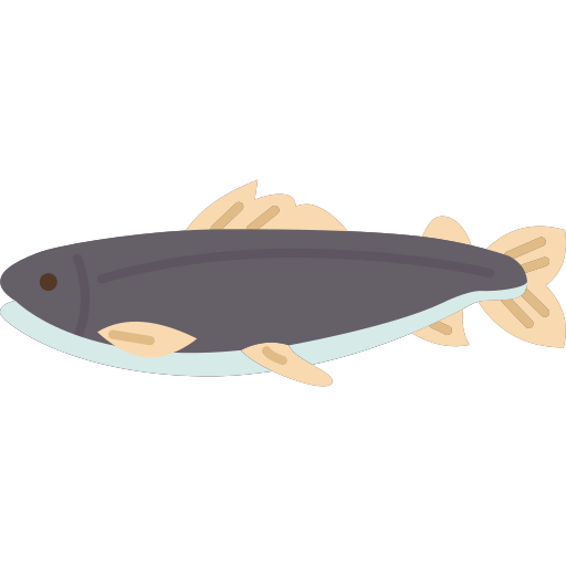 salmón Amethys Design Flat icono