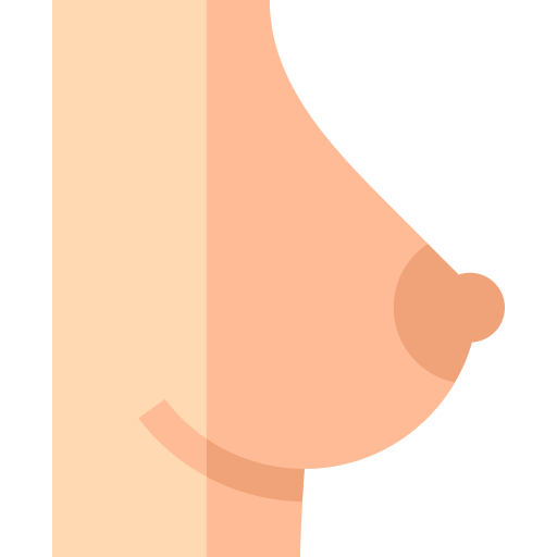brust Basic Straight Flat icon