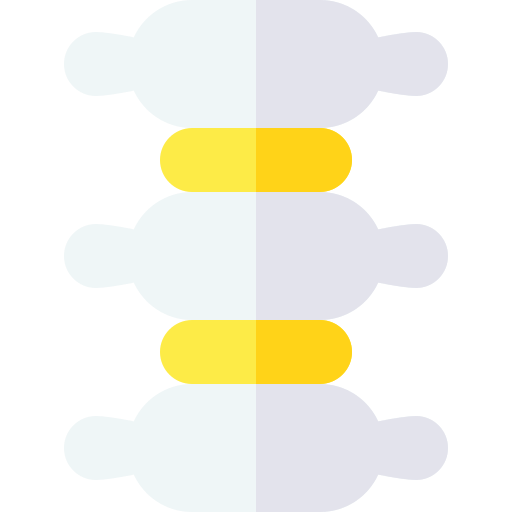 척추 Basic Straight Flat icon