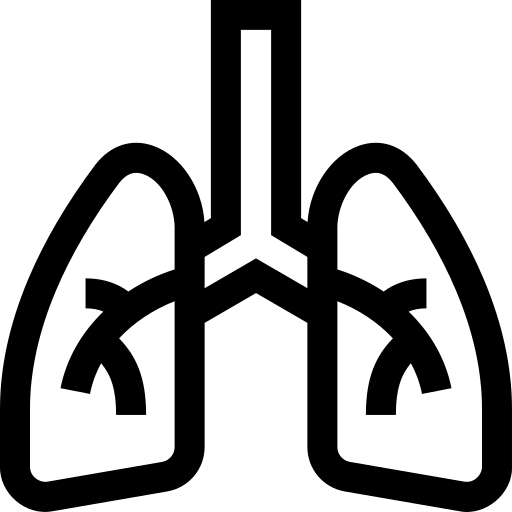 pulmões Basic Straight Lineal Ícone