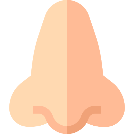 Nose Basic Straight Flat icon