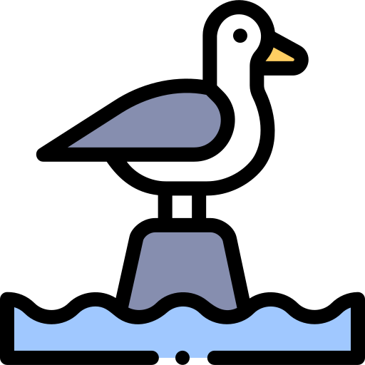 Seagull Detailed Rounded Lineal color icon