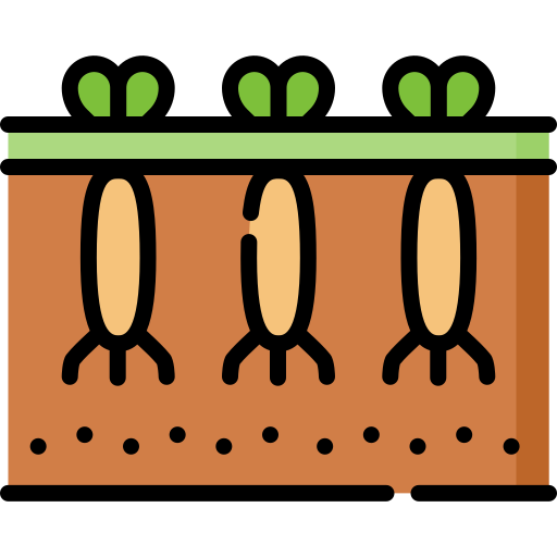 ernte Special Lineal color icon