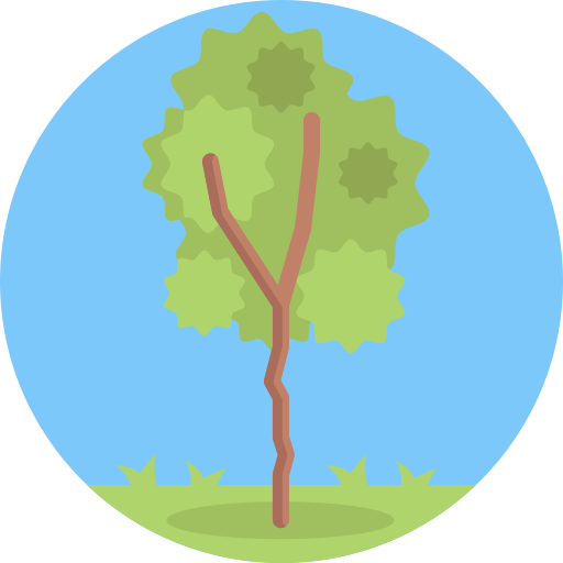 Tree Generic Circular icon
