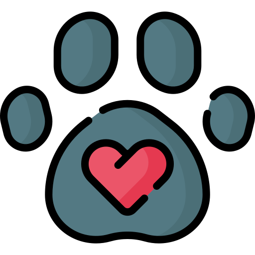 Paw Special Lineal color icon