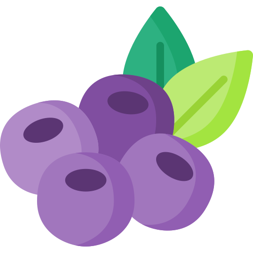 Berries Special Flat icon