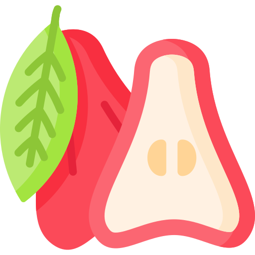 Rose apple Special Flat icon