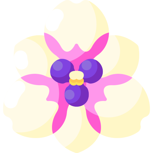orquídea Special Shine Flat icono