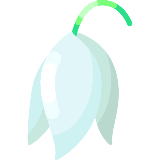 yucca Special Shine Flat icon
