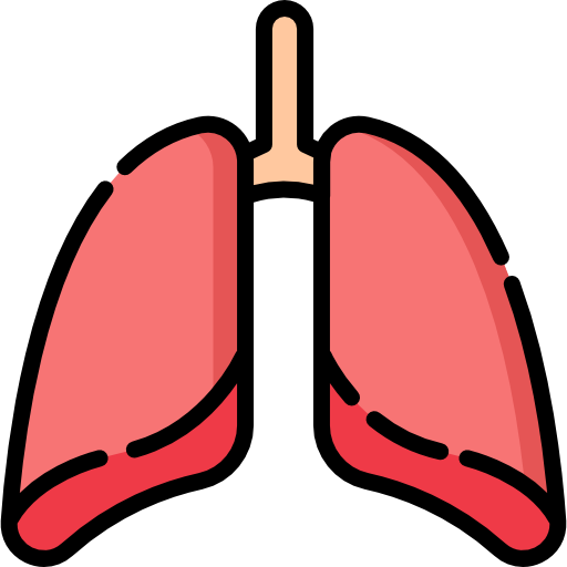 poumons Special Lineal color Icône