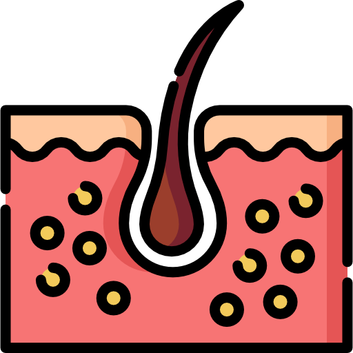 epidermis Special Lineal color icono