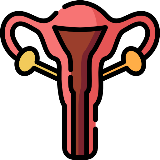 gebärmutter Special Lineal color icon