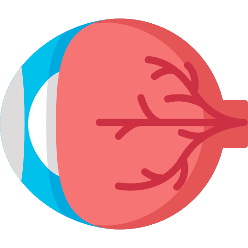 oftalmología Special Flat icono