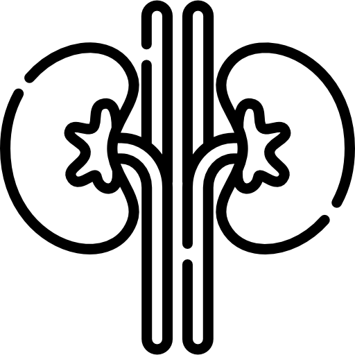 riñón Special Lineal icono