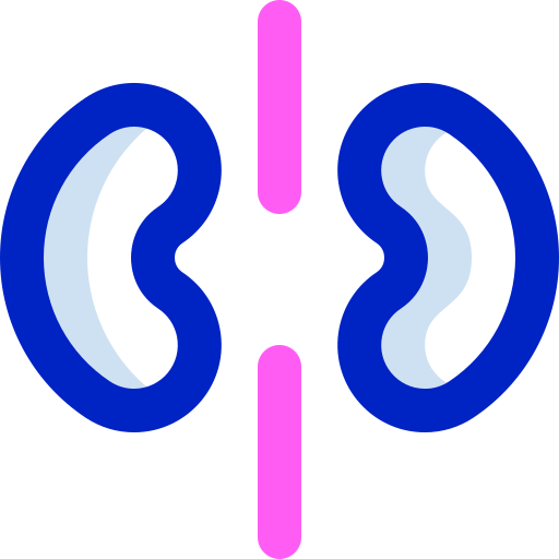 腎臓 Super Basic Orbit Color icon