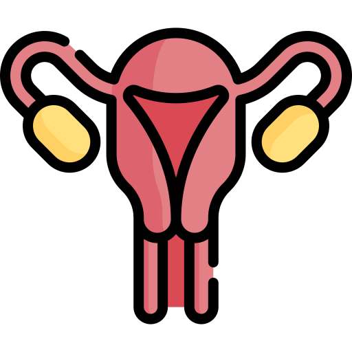 Womb Special Lineal color icon