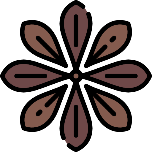 Anise Special Lineal color icon
