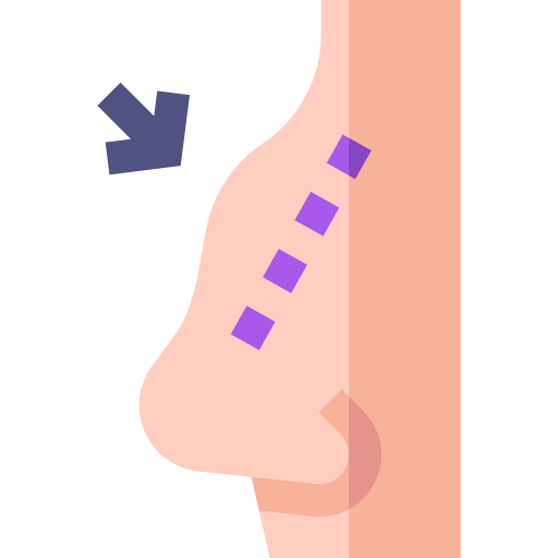 Rhinoplasty Basic Straight Flat icon