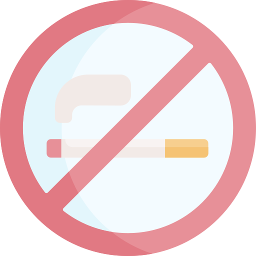 No smoking Special Flat icon