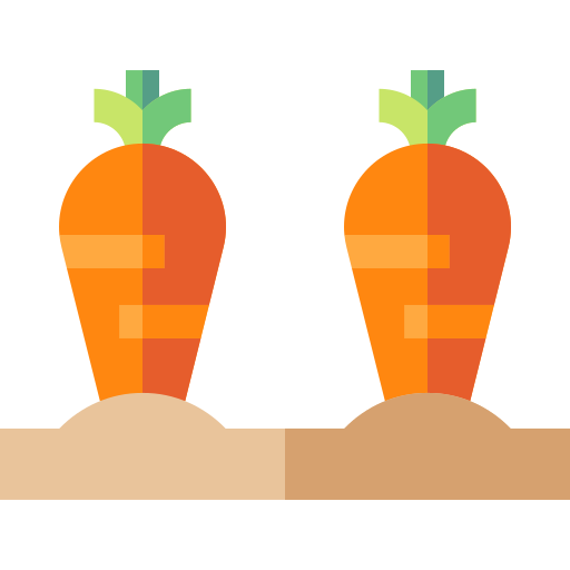 zanahorias Basic Straight Flat icono