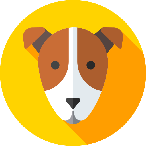 jack russell terrier Flat Circular Flat icon