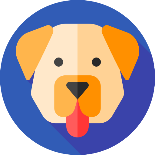 labrador retriever Flat Circular Flat icon