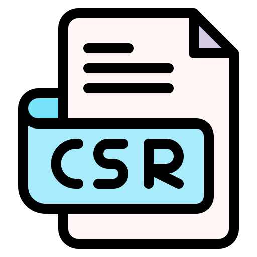 csr Generic Outline Color icon